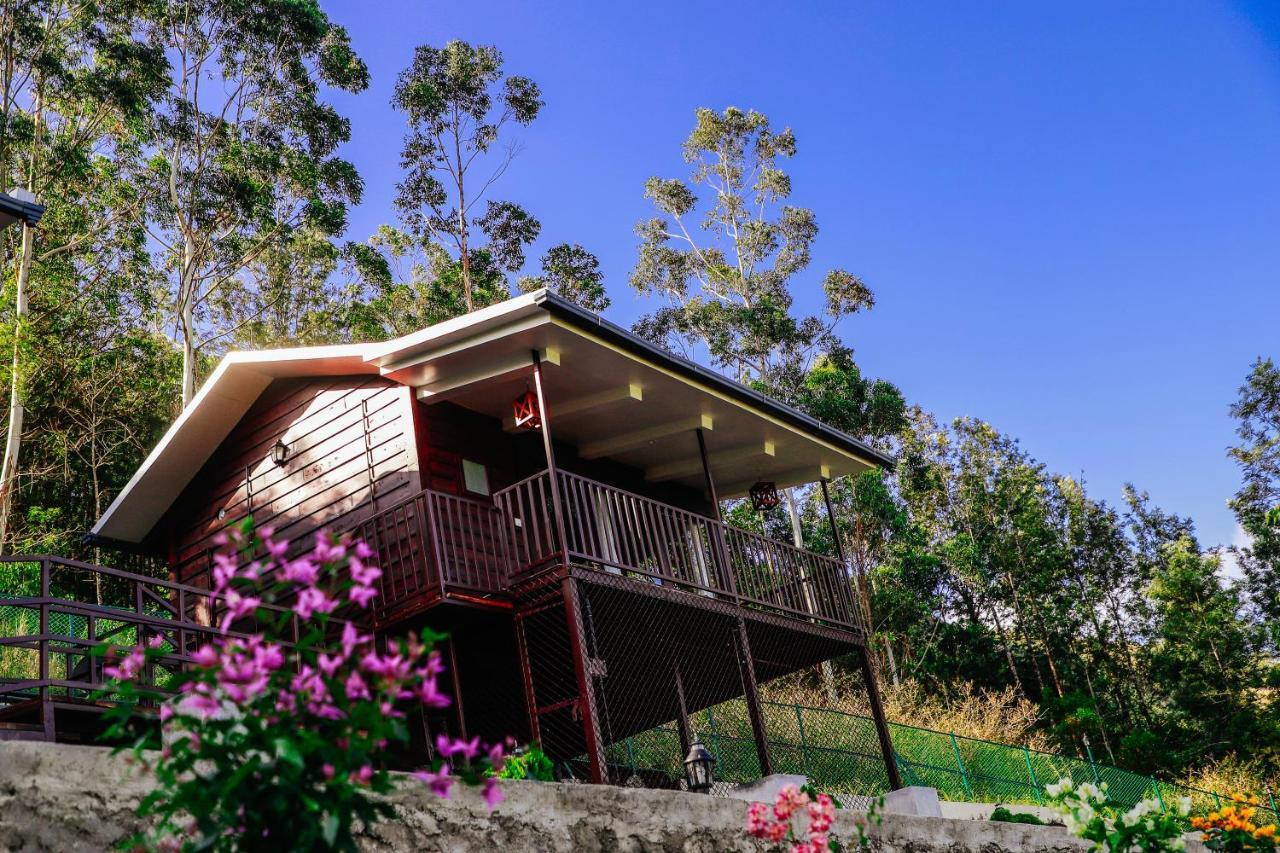Wild Orchid Eco Tourism Munnar Eksteriør billede